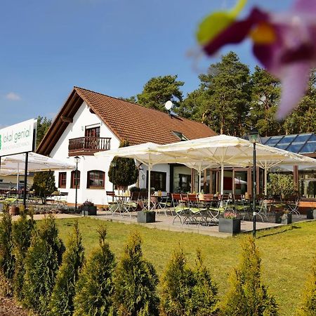 Lokal Genial Pension & Restaurant Beelitz Kültér fotó